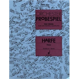 Orchester Probespiel. Arpa