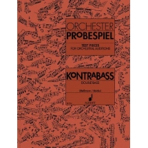 Orchester Probespiel. Contrabajo