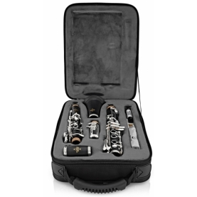 Clarinete Buffet Prodige BC2541-2-0GB