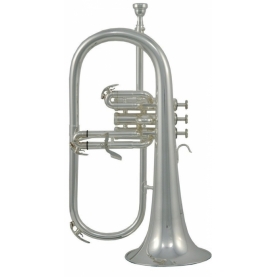 Fliscorno Roy Benson FH-302S