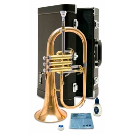 Fliscorno Yamaha YFH 631G