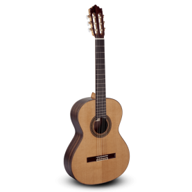 Guitarra Paco Castillo 204