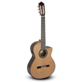 Guitarra Paco Castillo 224CE