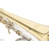 Trombon Roy Benson TT-236F