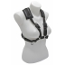 Arnes Fagot BG B11C