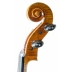 Violonchelo Antonio Wang Brandenburg
