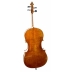 Violonchelo Antonio Wang Brandenburg