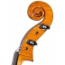 Violonchelo Antonio Wang Viena Stradivari