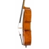 Violonchelo Antonio Wang Viena Stradivari