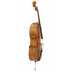 Cello Gewa Berlin Envejecido