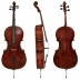 Cello Gewa Roma Envejecido