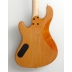 Cort Rithimic Jeff Berlin 