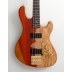 Cort Rithimic Jeff Berlin 