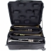 Estuche 4 Trompetas Protec iPac