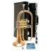 Fliscorno Yamaha YFH 631G