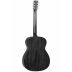 Guitarra Acustica Tanglewood TWBB OE