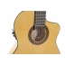 Guitarra Gewa Pro Arte Flamenco Electrificada