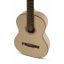 Guitarra Gewa Pro Natura Silver