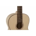 Guitarra Gewa Pro Natura Silver