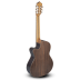 Guitarra Paco Castillo 224CE