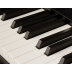 Piano Digital Kawai CN49