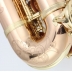 Saxofon Alto Amati AAS 83T