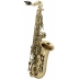 Saxofón Alto Roy Benson Para Niños AS-201