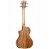 Ukelele Concierto Tanlgewood TWT16E 