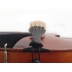 Kreutzer School Viola 