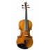 Violin Antonio Wang Siracusa