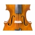 Violin Antonio Wang Siracusa
