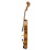 Violin Antonio Wang Siracusa