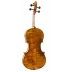 Violin Antonio Wang Taormina