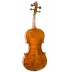 Violin Antonio Wang Venezia