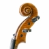 Violin Antonio Wang Venezia