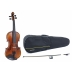 Violin Gewa Maestro 2 VL4
