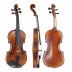 Violin Gewa Maestro 2 VL4