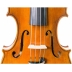 Violin Antonio Wang Signature