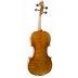 Violin Antonio Wang Signature