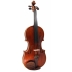 Violin Sofia Guadanini Wienawski