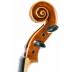 Violin Sofia Sylvanus