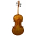 Violin Sofia Sylvanus