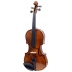 Violín Stentor Student II 3/4